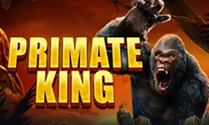 Primate King roaring gorilla